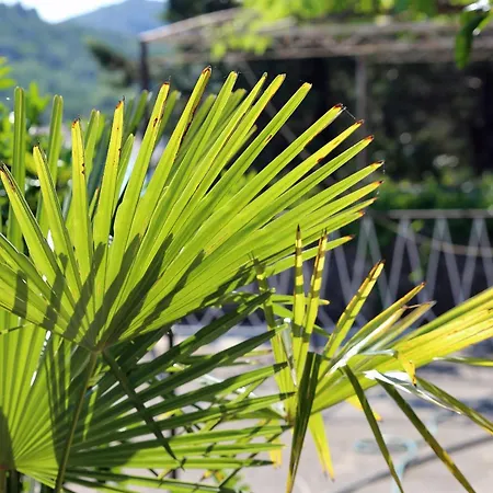 Triple 258a 3* Trpanj