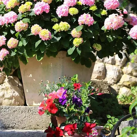 Maison d'hôtes Triple 258a 3*